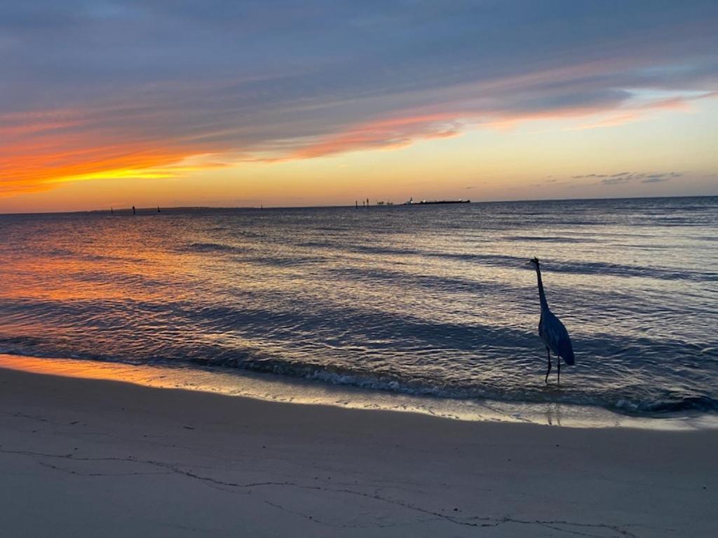 Budget Friendly Condo Perfect For A Romantic Getaway Within Walking Distance To The Beach! Gulf Shores Luaran gambar